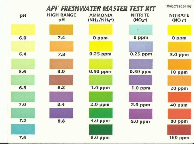 api-master-1.jpg