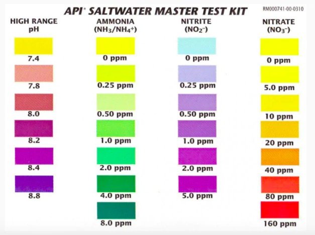 api-salt-master-2.jpg