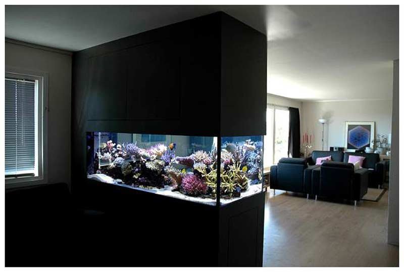 wall-aquarium.jpg