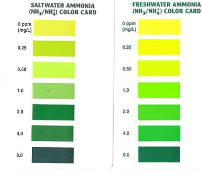 api-ammonia-1.jpg